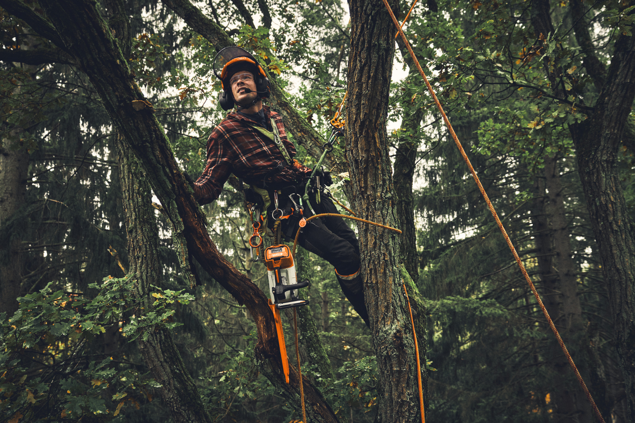 Hombre desramando con la motosierra sin cable STIHL MSA 190 T