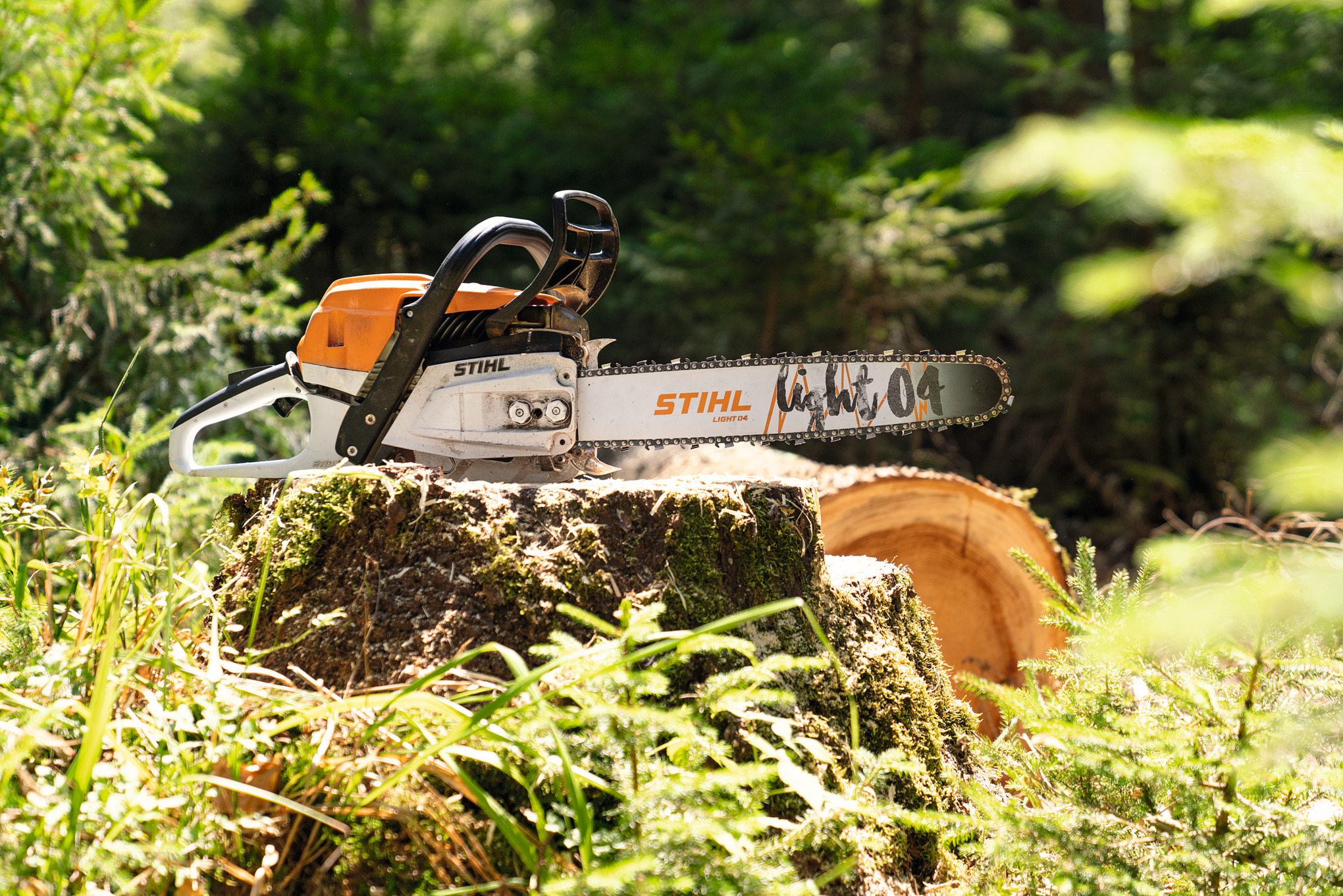 Una motosierra a gasolina STIHL MS 261 C-M sobre un tocón en el bosque