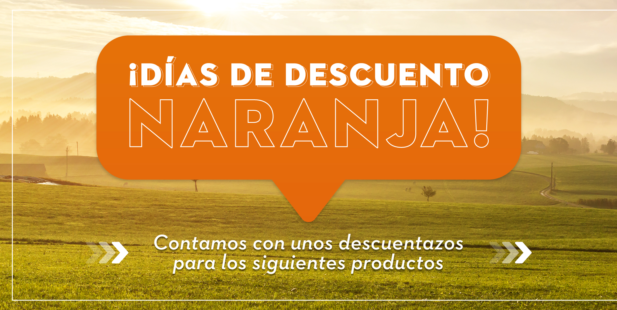 Dias de Descuento Naranja